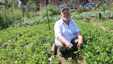 Ordu’da 73 yaşındaki İsa Mutlu, hayata çiftçilikle tutunuyor