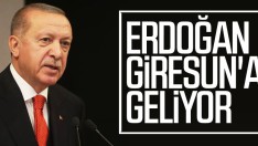 Cumhurbaşkanı Erdoğan Pazartesi Giresun’a Geliyor